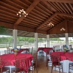la paloma-20