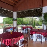 la paloma-9