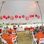 mcmurtrie farms pflugerville