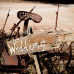 vista west ranch wedding