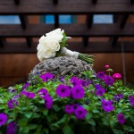 oasis_wedding-16