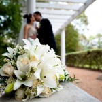 laguna gloria wedding